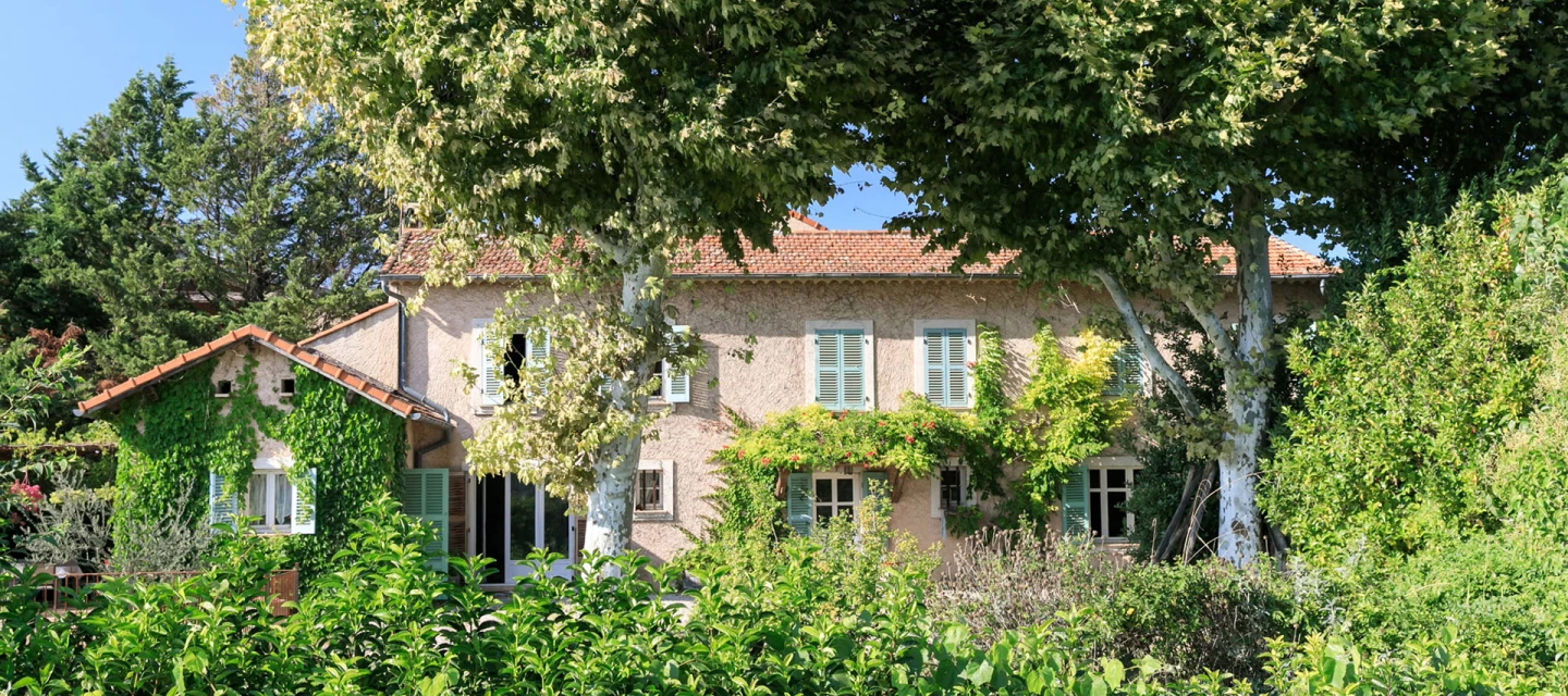 Château Saint-Pierre, producer of Provence wines